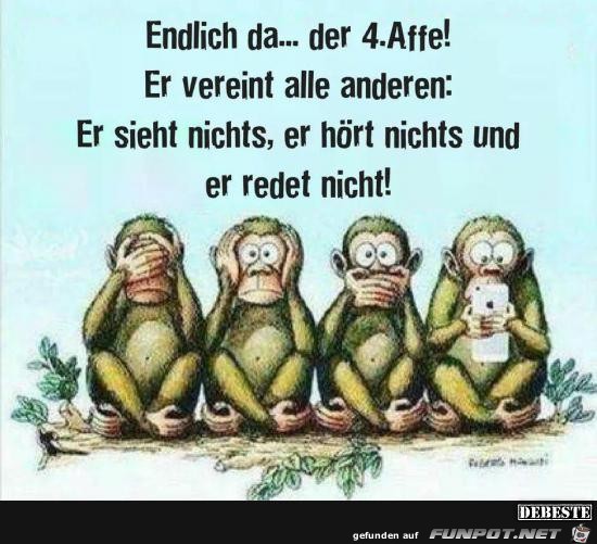 endlich da.. der 4. Affe...