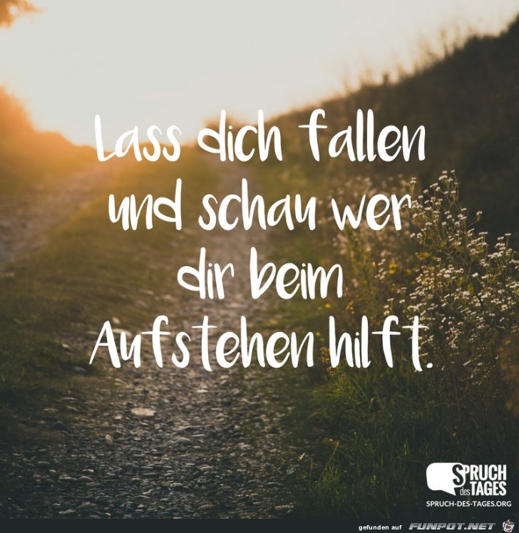 lass-dich-fallen-und-schau-wer-dir-beim-aufstehen-hilft