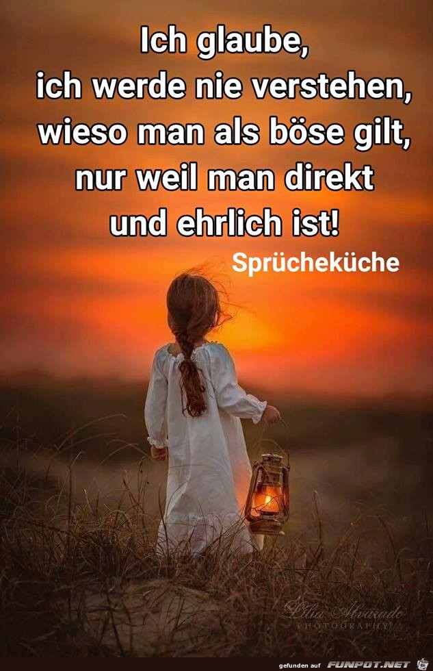 Werde nie verstehen Werde nie verstehen