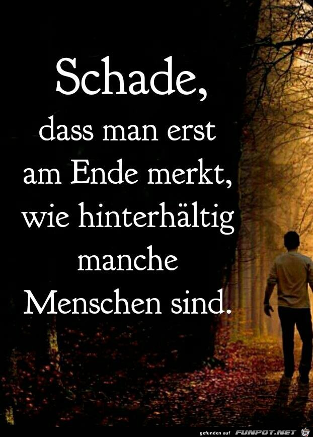 Schade