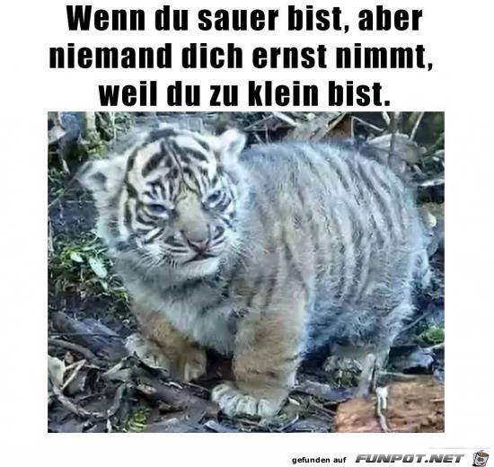Ich bin sauer Ich bin sauer