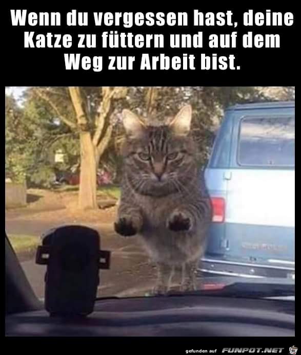 Füttern vergessen Füttern vergessen