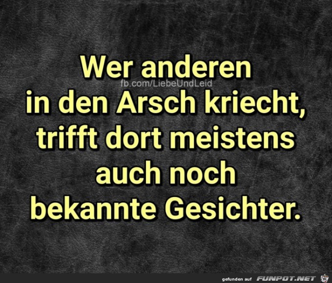 ....andere Gesichter ....andere Gesichter