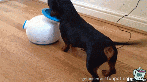 Ballmaschine Ballmaschine