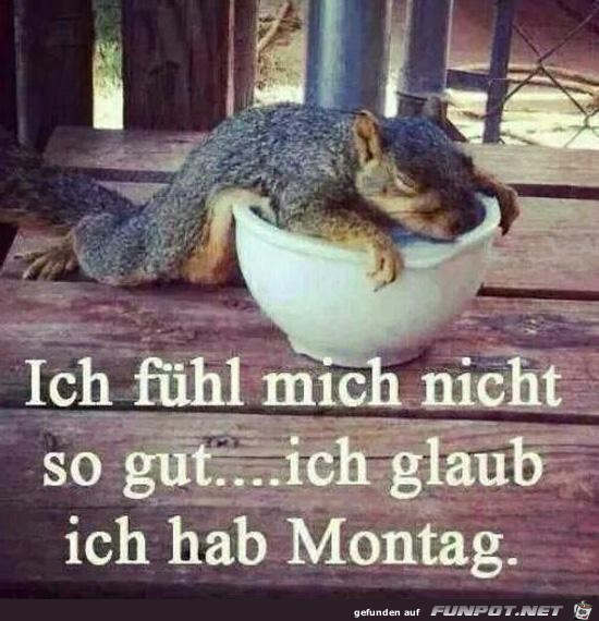 Ich hab Montag Ich hab Montag