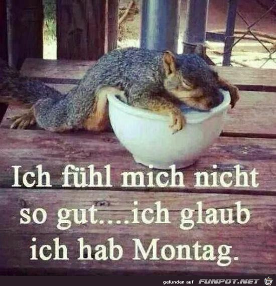 Ich hab Montag