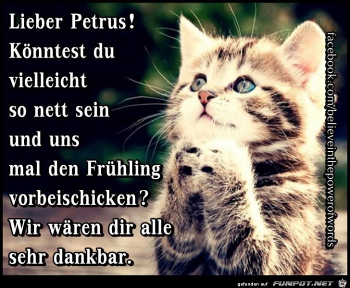 Lieber Petrus