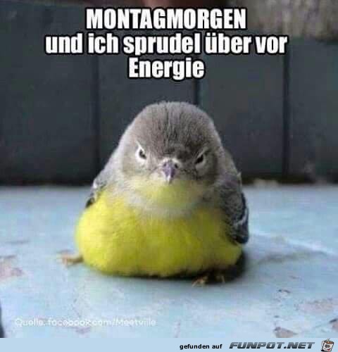 Montag Montag