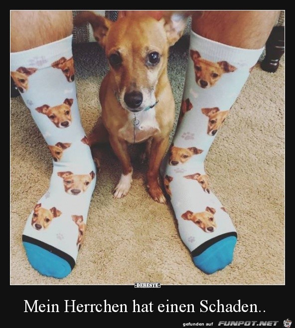 Komisches Herrchen