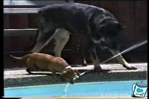 Teamwork Teamwork