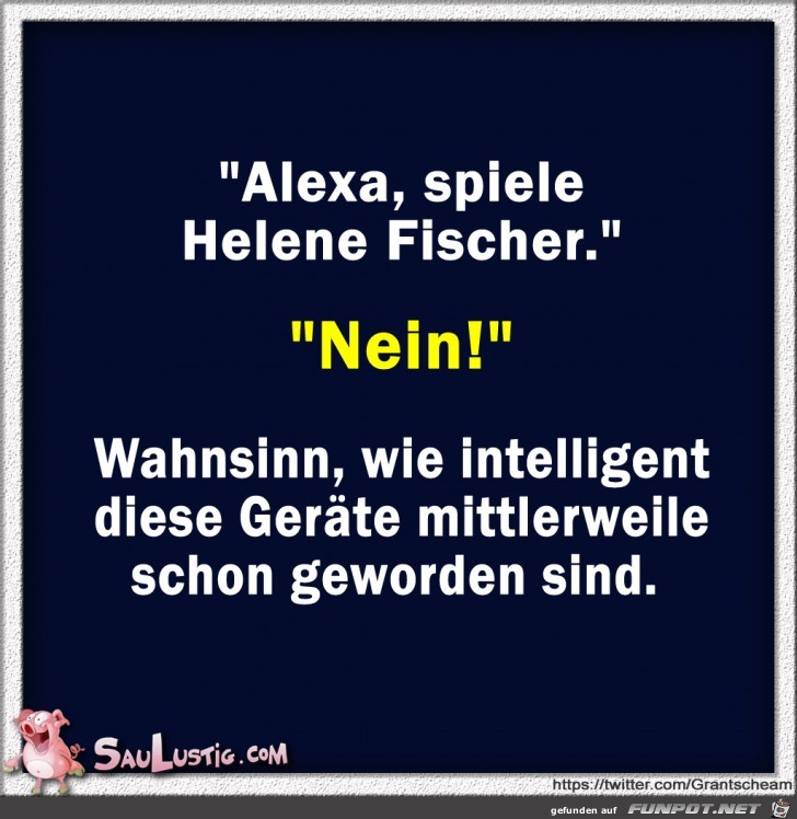 Alexa spiele Helene Fischer