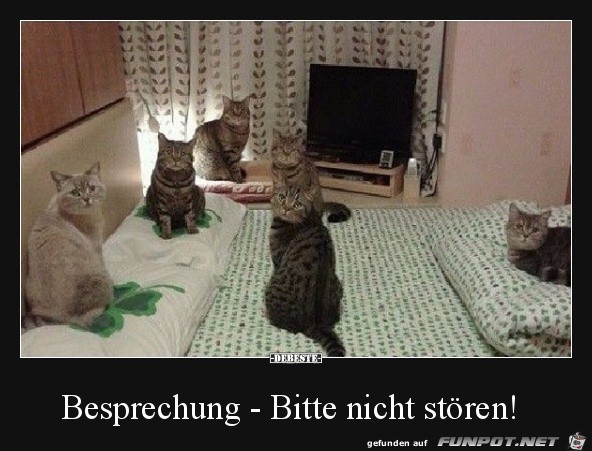 Bitte nicht stören Bitte nicht stören