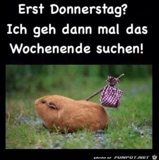 Erst Donnerstag