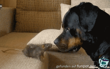 Ich zwick dich Ich zwick dich