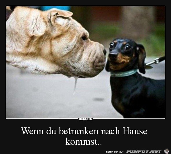 Kommt nicht gut an Kommt nicht gut an