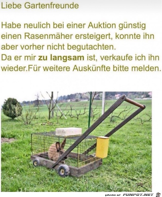 Rasenmäher Rasenmäher