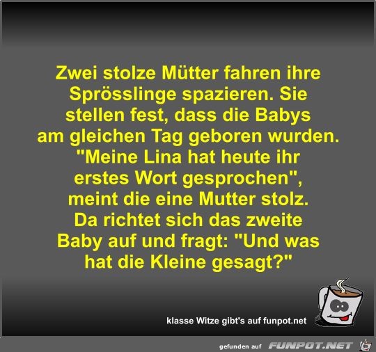 Zwei stolze Mütter fahren ihre Sprösslinge spazieren Zwei stolze Mütter fahren ihre Sprösslinge spazieren