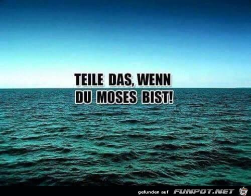 Teile das Teile das