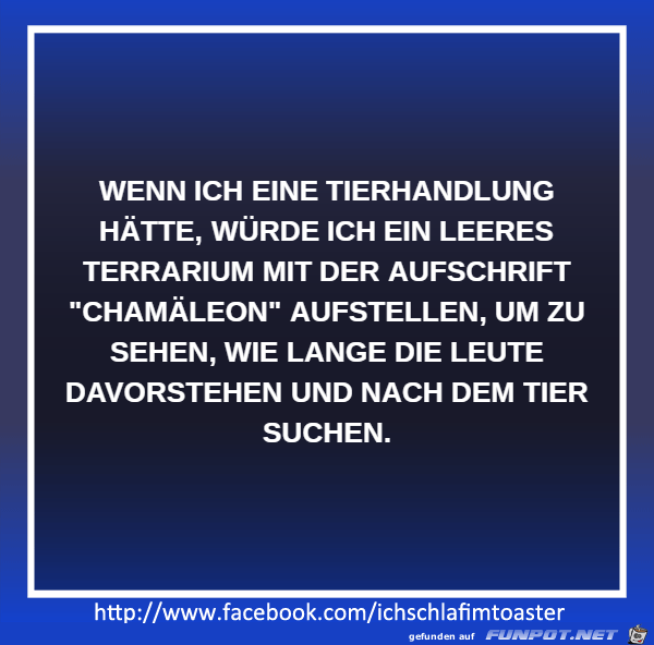 Chamaeleon Chamaeleon