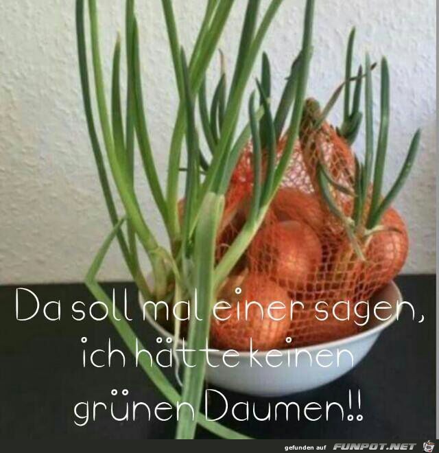 Grüner Daumen Grüner Daumen