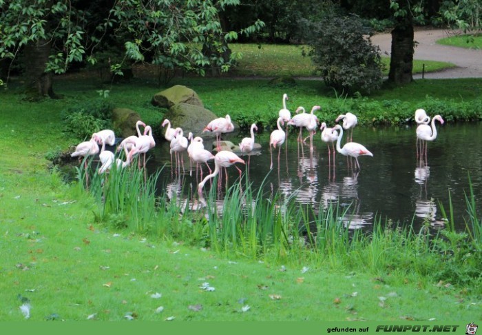 Impressionen aus Hagenbecks Tierpark Teil 7