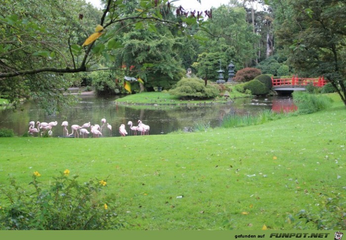 Impressionen aus Hagenbecks Tierpark Teil 7