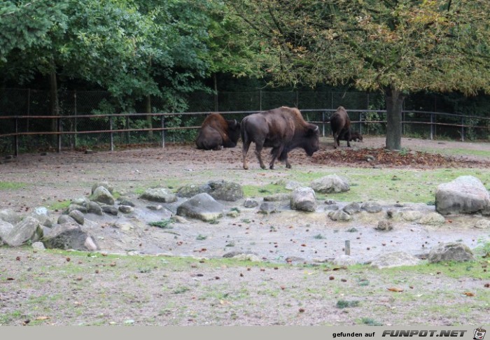 Impressionen aus Hagenbecks Tierpark Teil 7