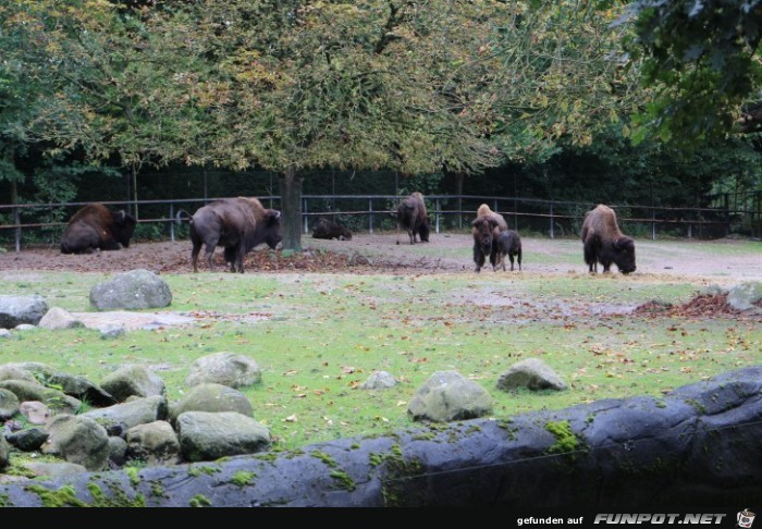 Impressionen aus Hagenbecks Tierpark Teil 7