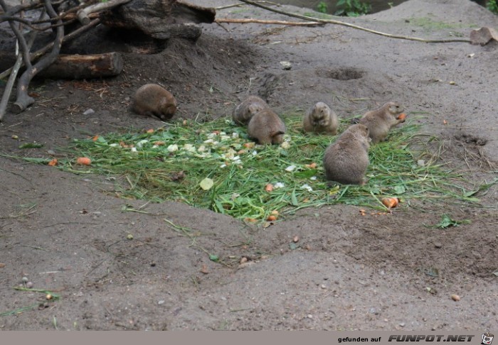 Impressionen aus Hagenbecks Tierpark Teil 7