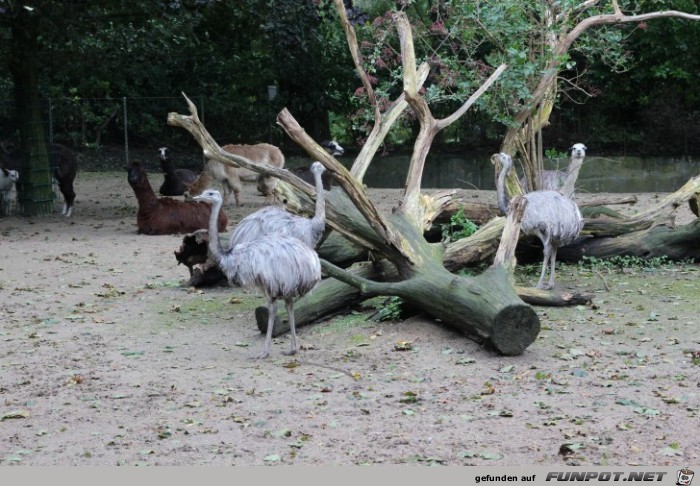 Impressionen aus Hagenbecks Tierpark Teil 7