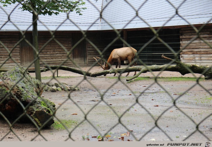 Impressionen aus Hagenbecks Tierpark Teil 7