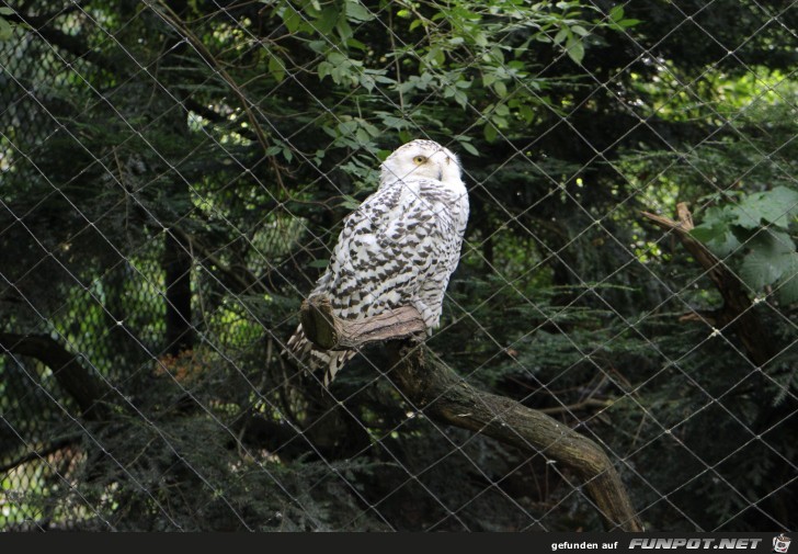 Impressionen aus Hagenbecks Tierpark Teil 7