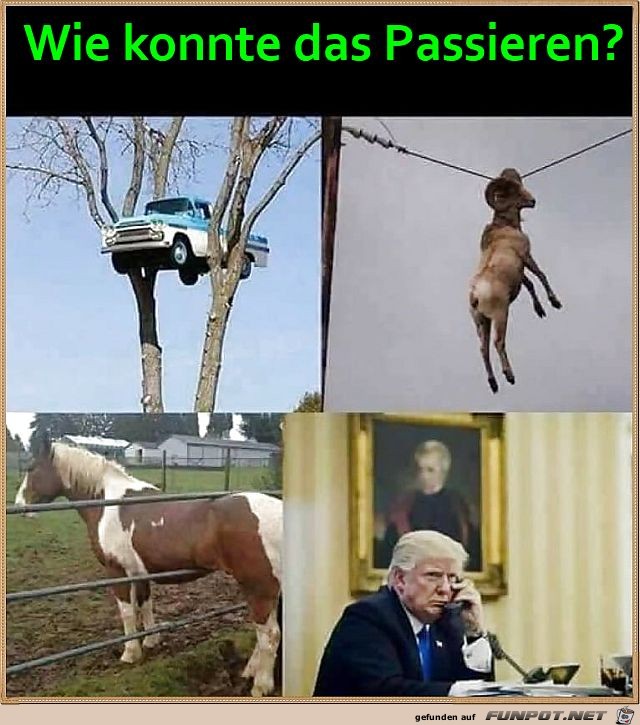 Wie konnte das passieren