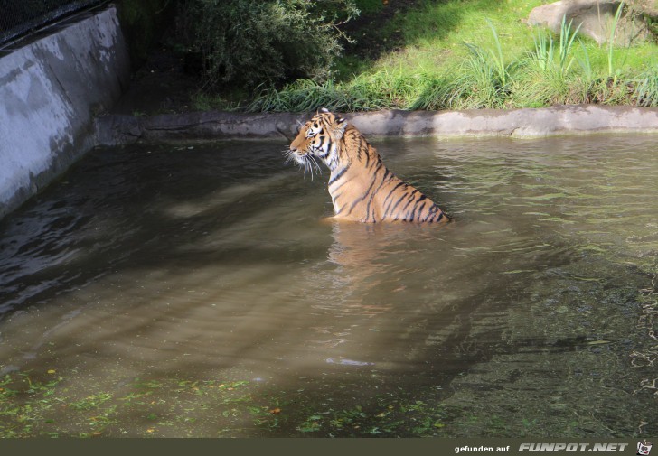 Impressionen aus Hagenbecks Tierpark Teil 8