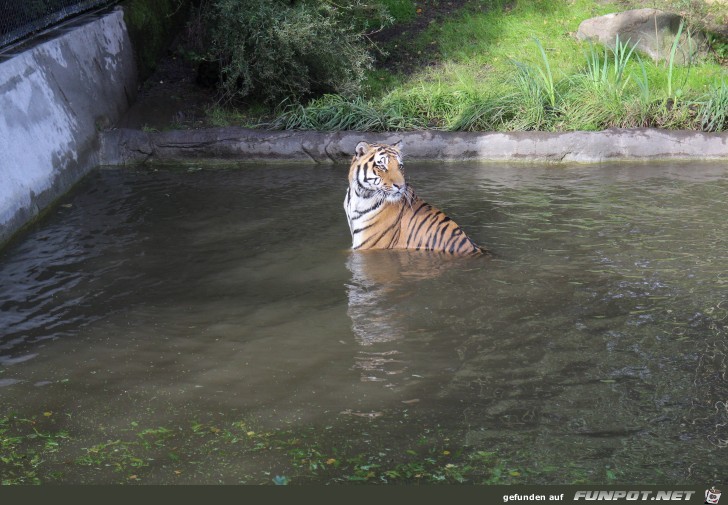 Impressionen aus Hagenbecks Tierpark Teil 8