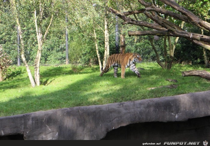 Impressionen aus Hagenbecks Tierpark Teil 8