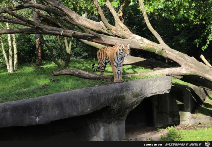 Impressionen aus Hagenbecks Tierpark Teil 8