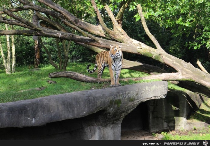 Impressionen aus Hagenbecks Tierpark Teil 8