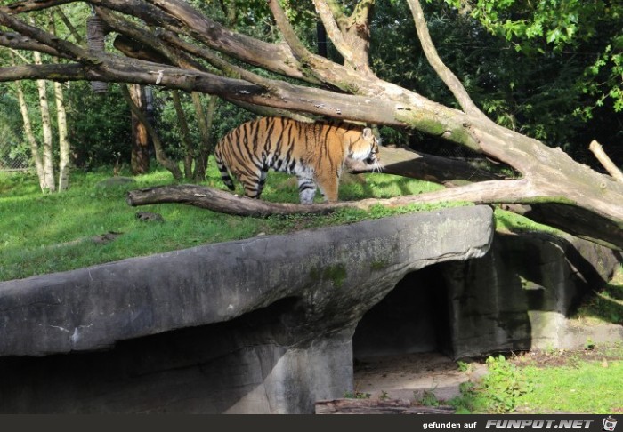 Impressionen aus Hagenbecks Tierpark Teil 8