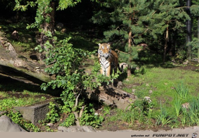 Impressionen aus Hagenbecks Tierpark Teil 8