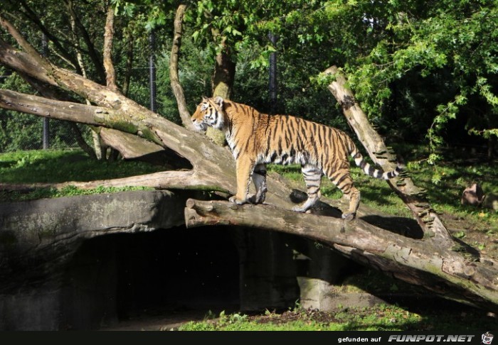 Impressionen aus Hagenbecks Tierpark Teil 8