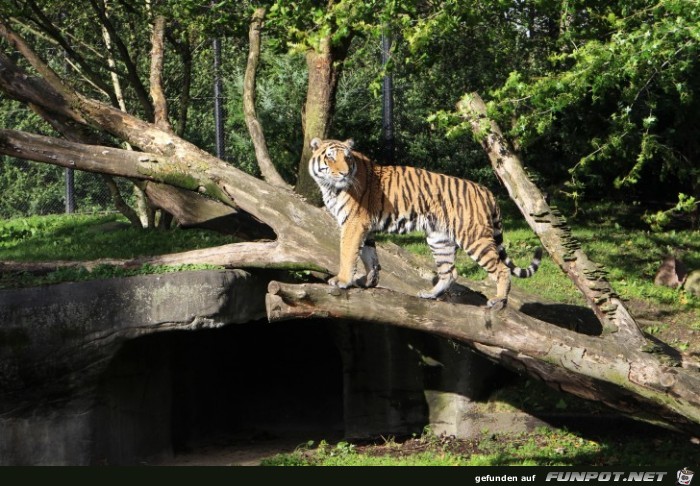 Impressionen aus Hagenbecks Tierpark Teil 8