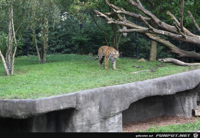 Impressionen aus Hagenbecks Tierpark Teil 8