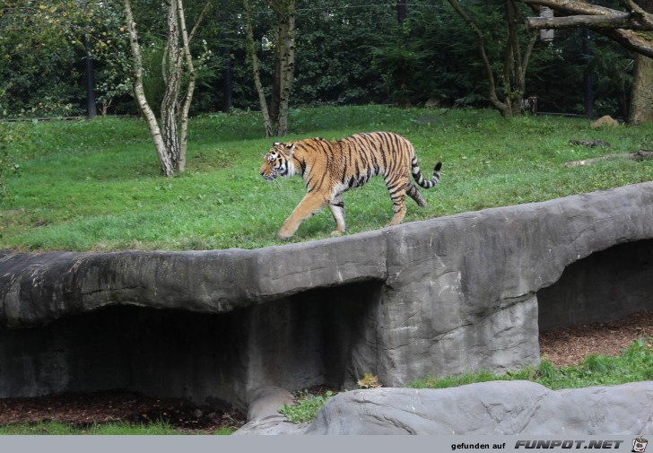 Impressionen aus Hagenbecks Tierpark Teil 8