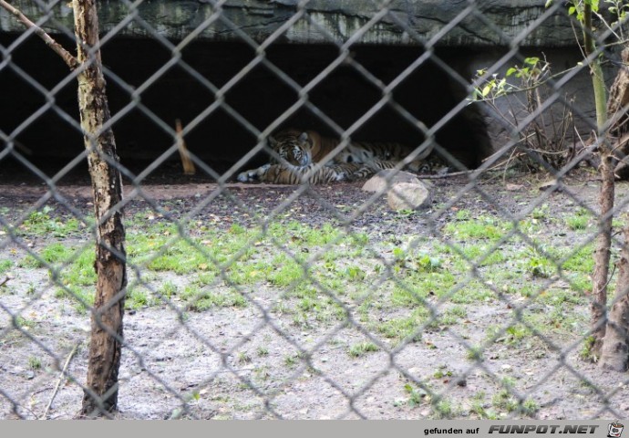 Impressionen aus Hagenbecks Tierpark Teil 8