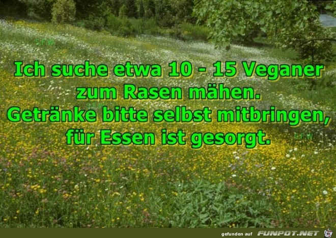 Ich suche etwa 10 Ich suche etwa 10