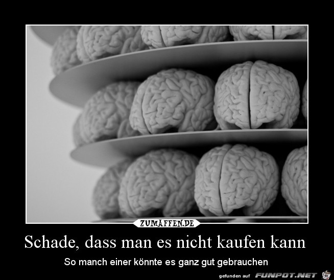 Gehirne... Gehirne...
