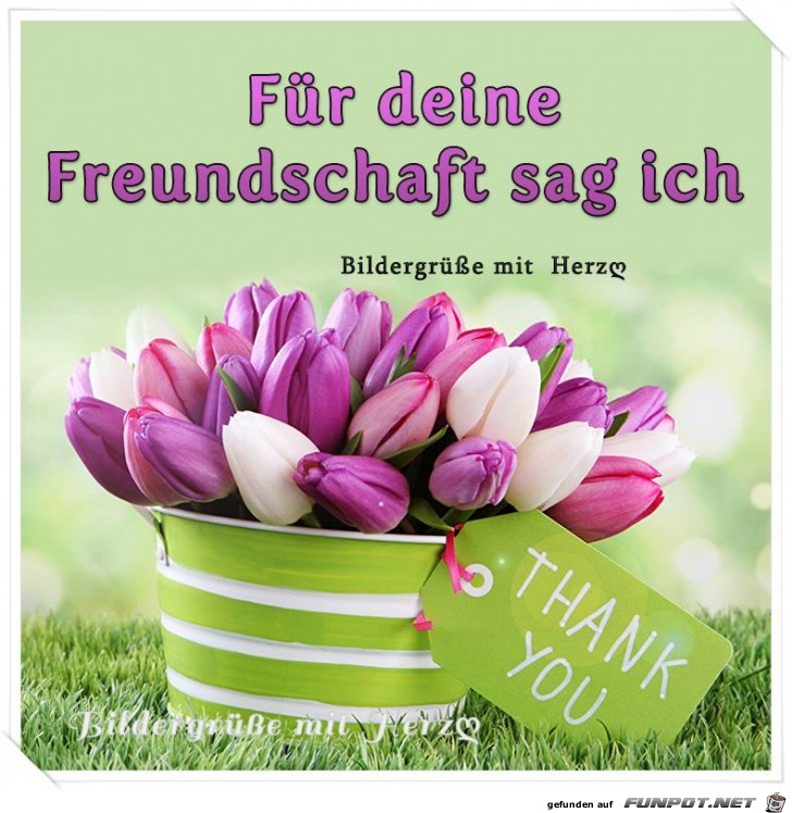 Fuer deine Freundschaft