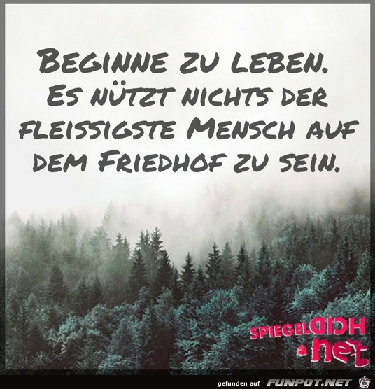Beginne zu leben Beginne zu leben