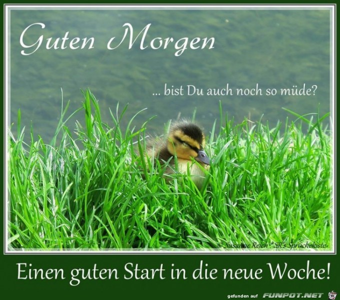 Einen guten Start